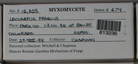 Image Associated With the Occurence